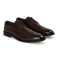 Cambridge - Dunkelbraune Herren-Brogue-Derby-Schuhe mit Flügelkappe