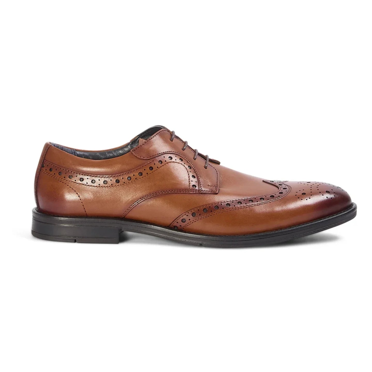 Cambridge - Herren-Brogue-Derby-Schuhe in Hellbraun